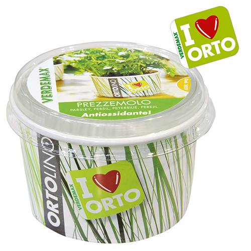 ORTOLINO KIT PERSUN