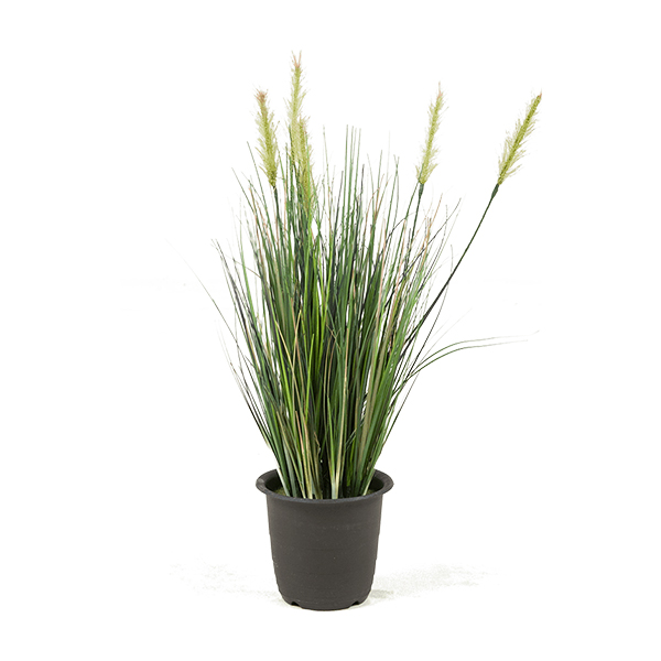 PL.CV.GRASS BUSH 45 CM