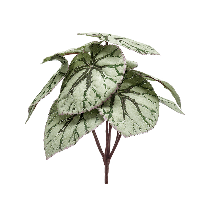 PL.CV.BEGONIA BRANCH POTS 25X25CM