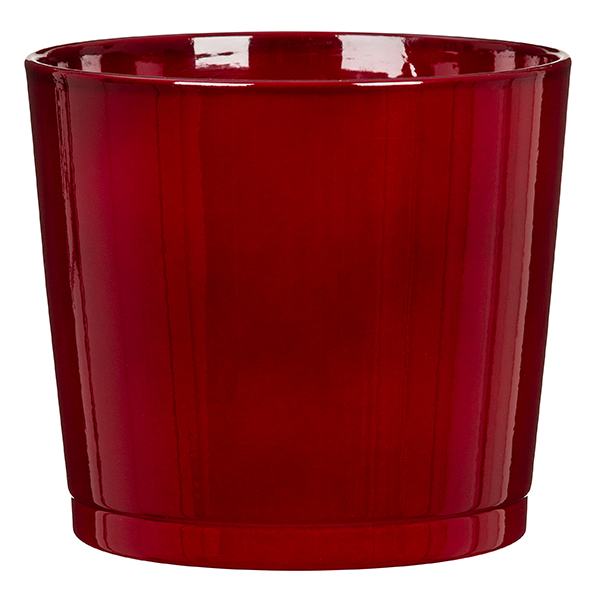 SAKSIJA DARK RED 883/22