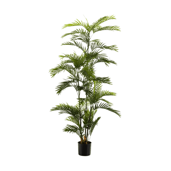 PL.CV.PHOENIX TUFT POT 15CM