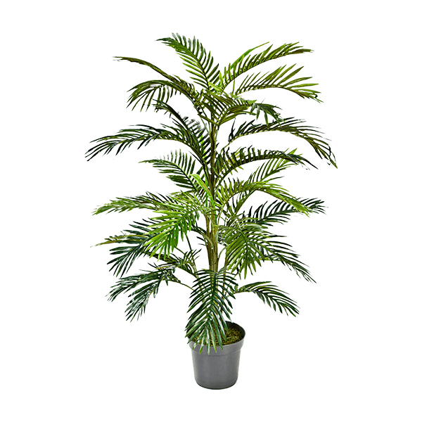 PL.CV.ARECA POT 67029000,120CM