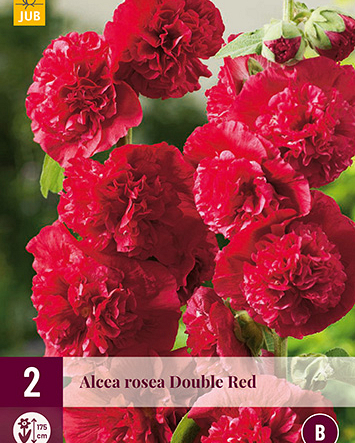 LUKOVICA ALCEA ROSEA CHATERS DOUBLE RED,2KOM