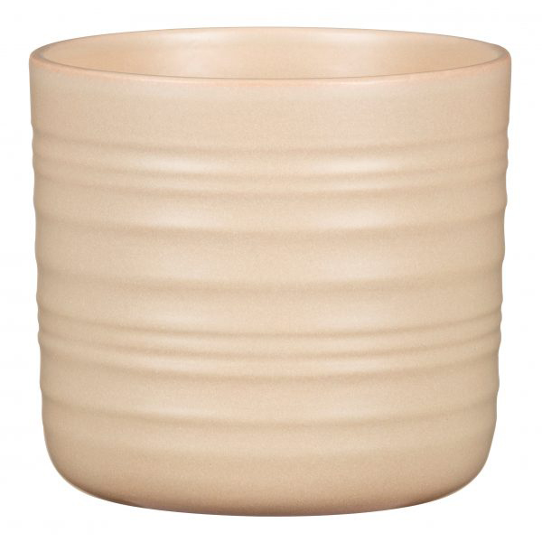 SAKSIJA DRY REED 850/12