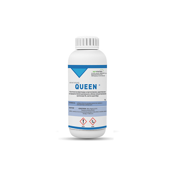 QUEEN 1l