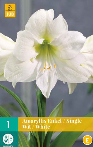 LUKOVICA AMARYLLIS WHITE 28/30, 1 KOM