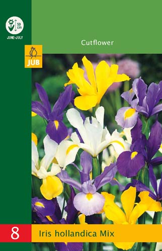 LUKOVICA IRIS HOLLANDICA MIX 6/7, 8 KOM