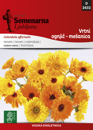 KES.CV.2632 CALENDULA MIJESANA