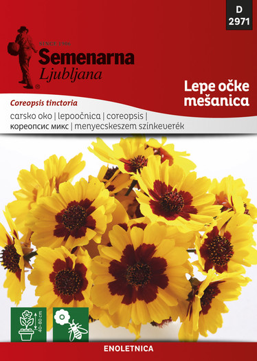 KES.CV.2971 COREOPSIS TINC.MIJESANI