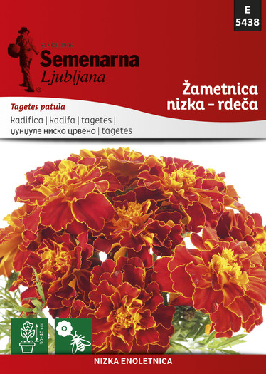 KES.CV. 5438 TAGETES PATU.RUF.RED