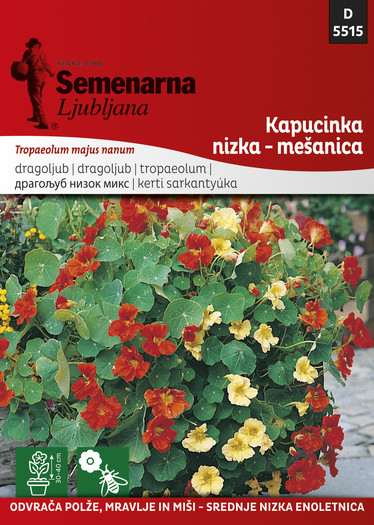 KES.CV.5515 TROPAEOLUM LOBBI