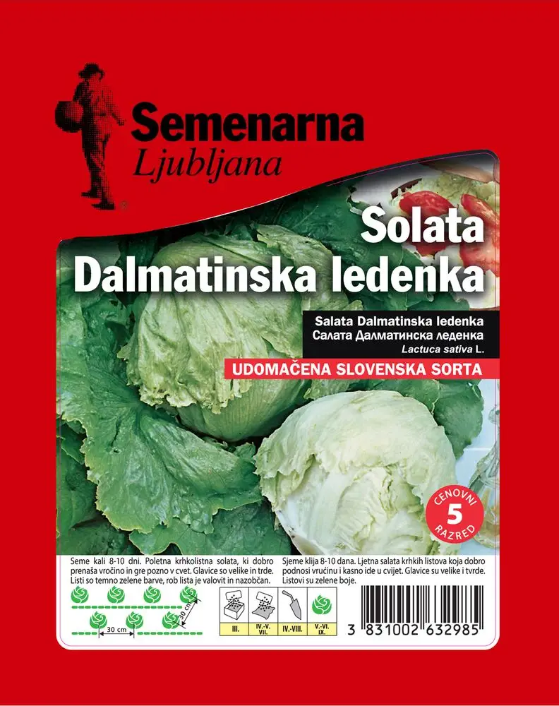 KES.SJ.SALATA DALMATINSKA LEDENKA 25G