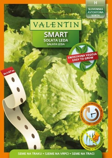 VAL.SMART SALATA LEDA