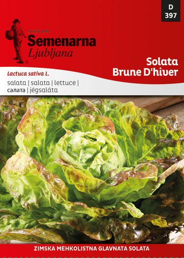 SEM22 397 SALATA BRUNE DHIVER