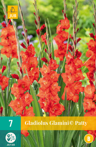 LUKOVICA GLADIOLA GLAMINI PATTY,7KOM