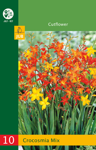 LUKOVICA CROCOSMIA MIX,10KOM