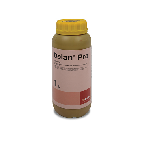 DELAN pro 1/1