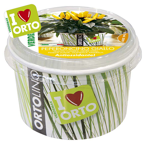 ORTOLINO KIT PAPRIKA ZELENA