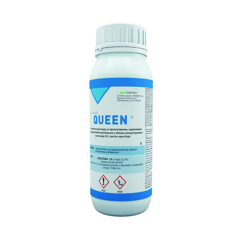 QUEEN 100ML