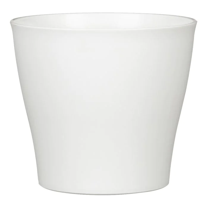 SAKSIJA BIANCO 328/17